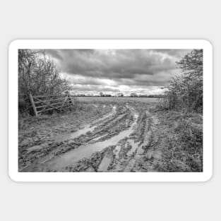 Waterlogged and boggy entrance to an arable field in the English countryside Sticker